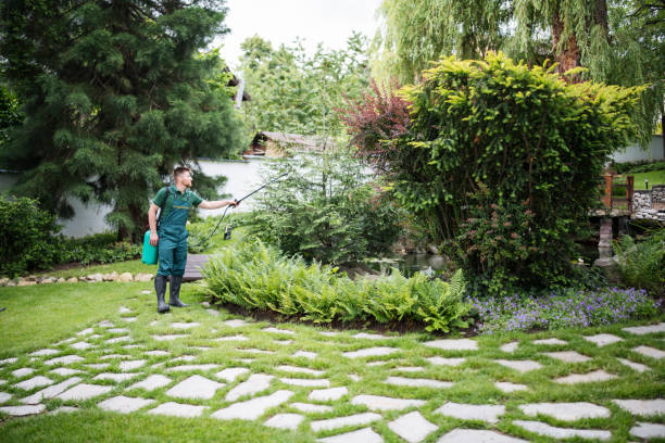 Professional Tree Services in Palmyra, WI