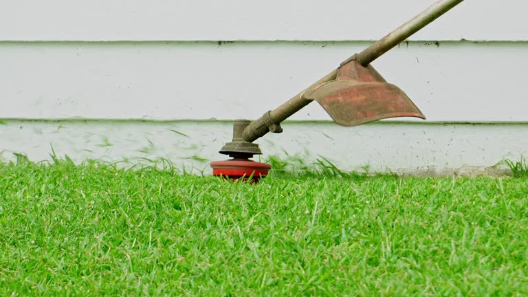 Best Utility Line Clearance  in Palmyra, WI